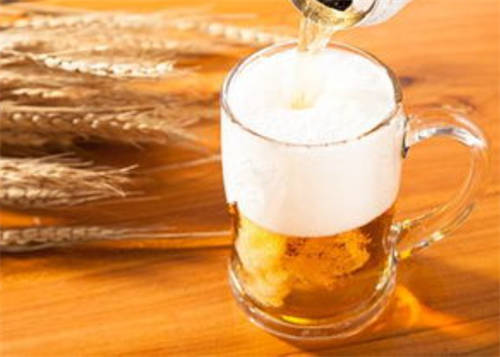 爱尔啤酒和拉格啤酒（了解啤酒的不同种类和酿造方法）