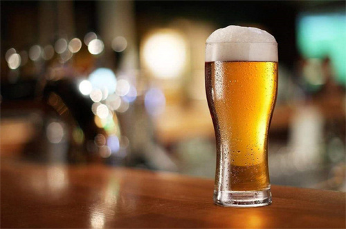 常喝凉啤酒对身体有害吗「长期喝啤酒对身体有什么危害」