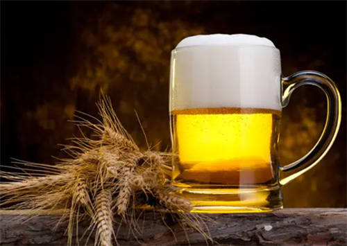 啤酒花在酿造啤酒时有什么用,啤酒花是做啤酒的原料不