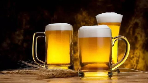 青岛啤酒营业收入分析及未来发展趋势预测