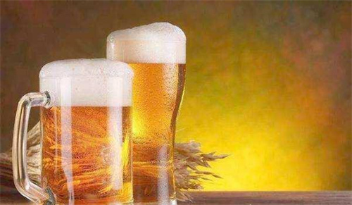 泰谷啤酒批发价格表查询方法及注意事项