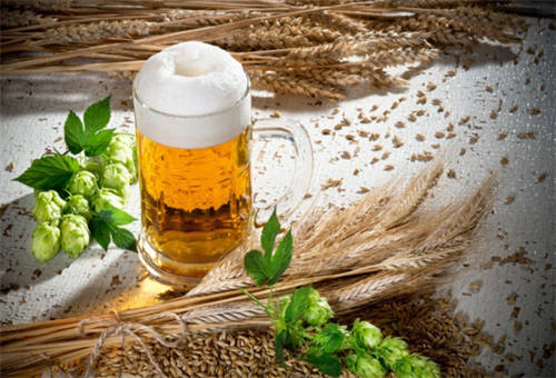白熊啤酒是什么啤「比利时白熊啤酒是白啤吗是精酿吗」