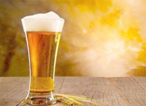 啤酒有利于健康吗,啤酒有害健康吗