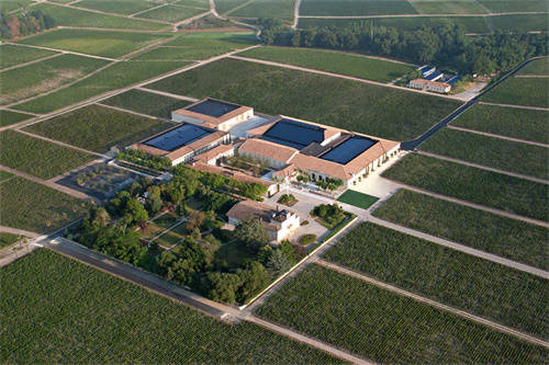 干红葡萄酒产业发展现状与趋势