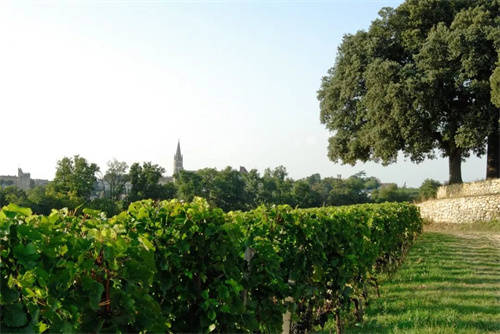 匈牙利葡萄酒产区-鉴别匈牙利进口葡萄酒
